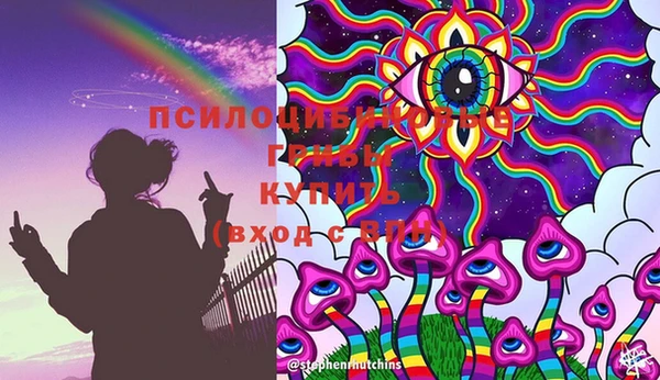 крисы Алексеевка