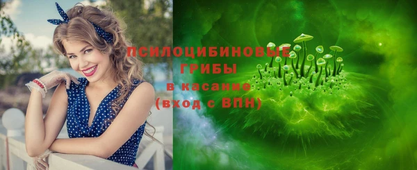 спиды Абаза
